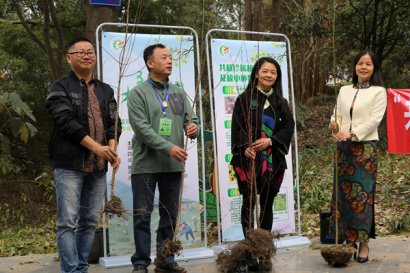 植物中的大熊猫“五小叶槭”等4种珍稀濒危植物落户成都植物园